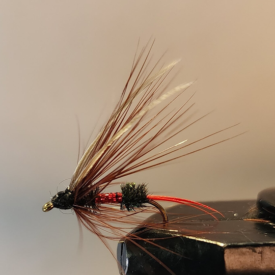 Soft Hackle Royal Coachman