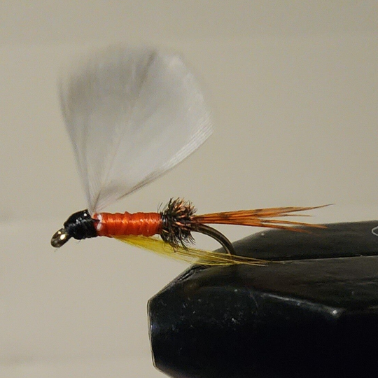 Peacock Herl Coachman