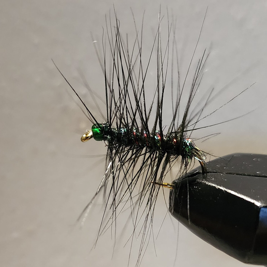 Emerald Peacock Wooly Bugger