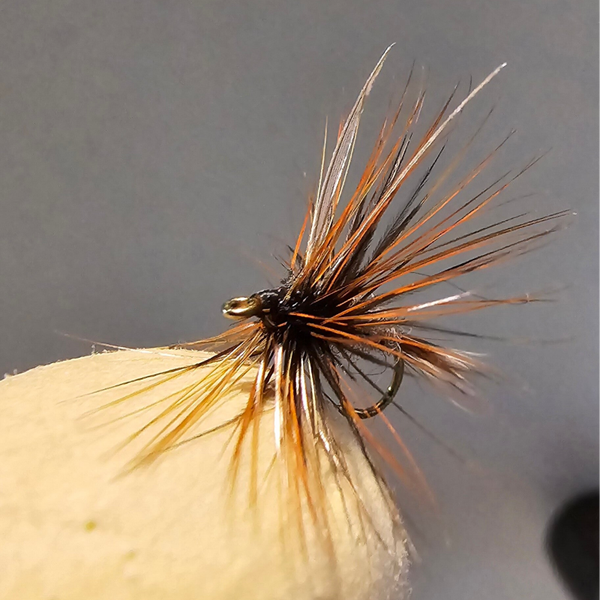 Rooster Furnace Adams