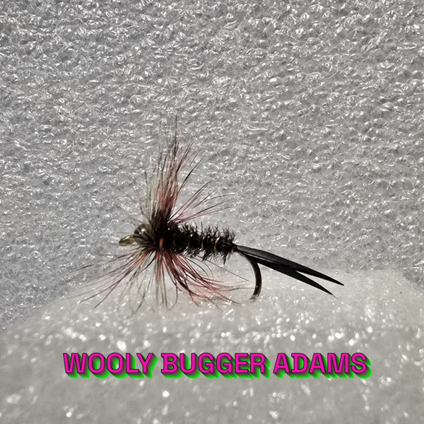 Wooly Bugger Adams