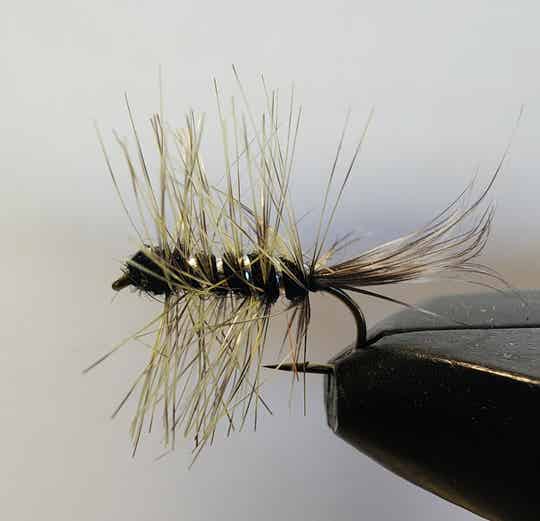 Wooly Gnat (Chartreuse)