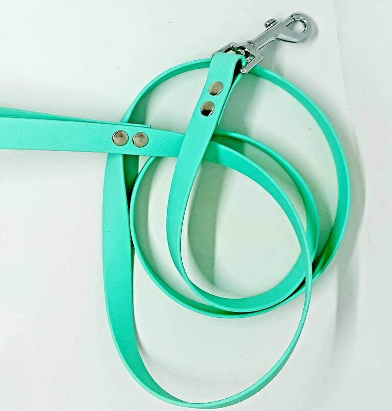 20220507_2standaard 1,5 meter lijn in 19 mm caribean groen met zilveren fournituren24940-1.jpg