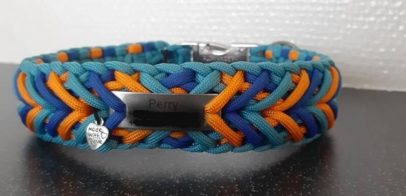 PAPA MOJITO ZONDER RAND | 4 kleuren | 3,5 cm breed