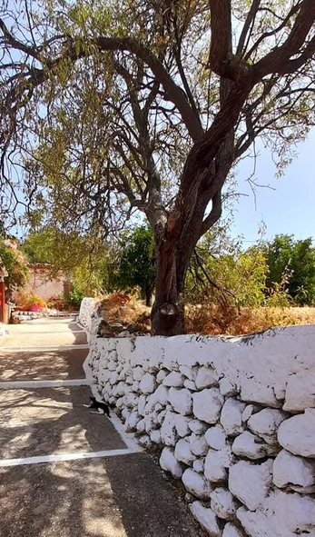 Traditional Village