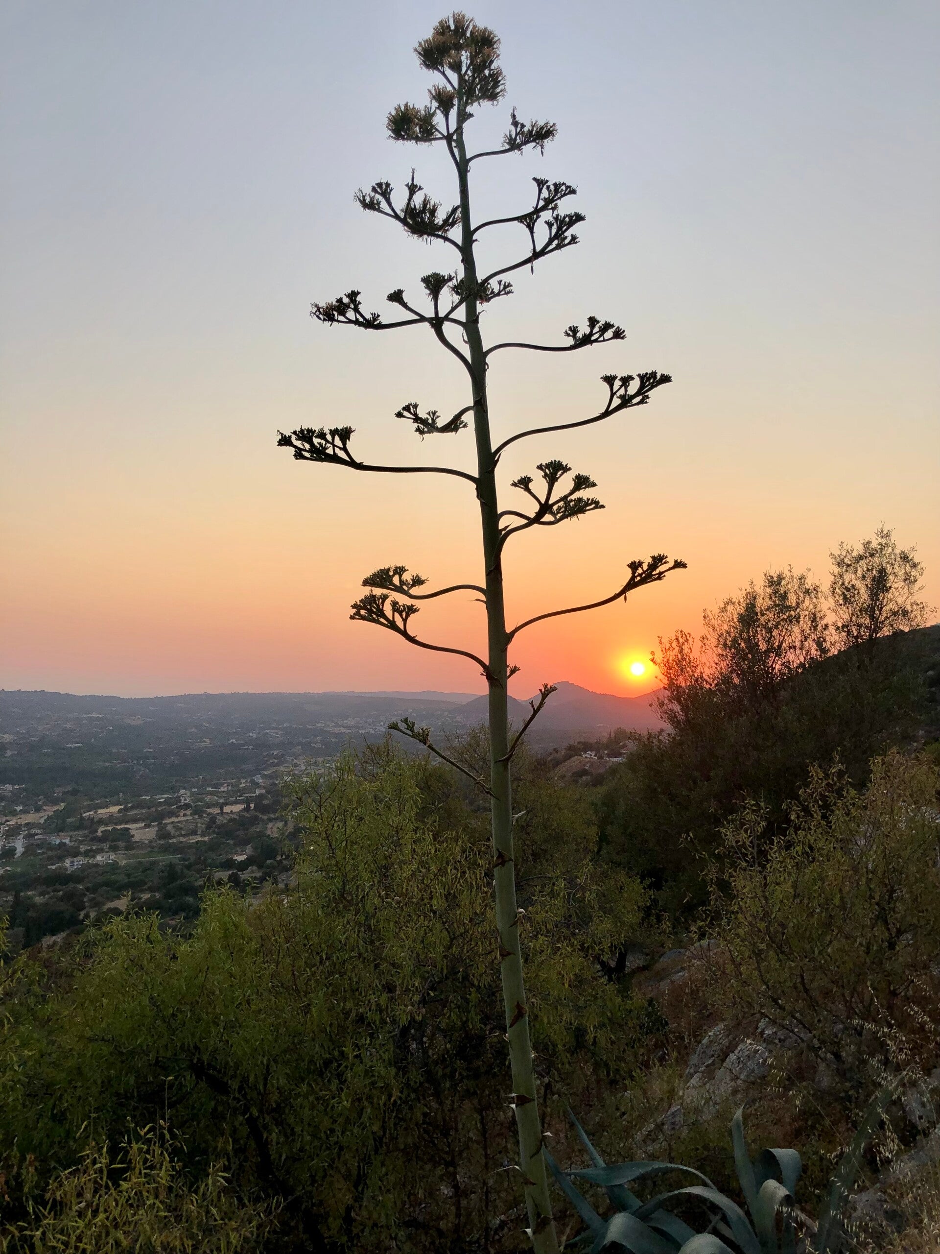Sunset road in Vlachata Kefalonia
