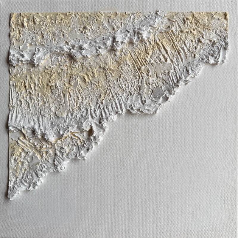 Toile 30 x 30 cm  / enduis et peinture / 35€