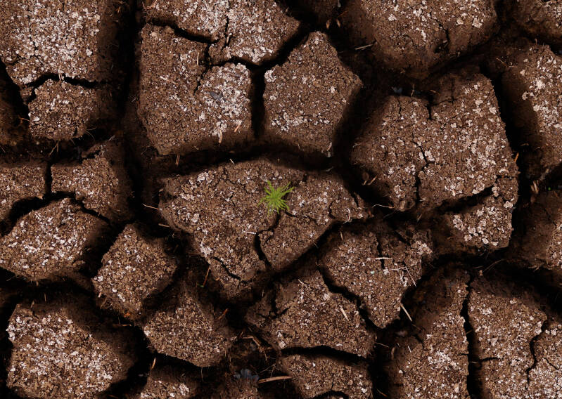 het begin van de droogte 
