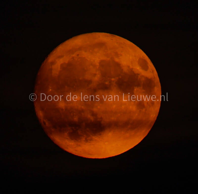 volle bloedmaan