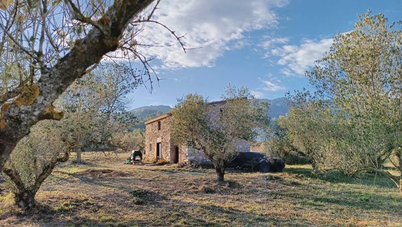 Antigua Edificación de Piedra