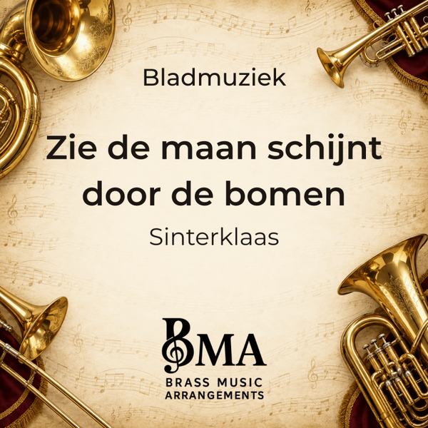 Zie de maan schijnt door de bomen - Sinterklaas