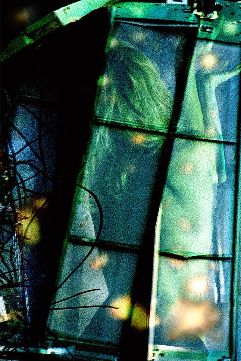 Marion_van_Delst_kunst
