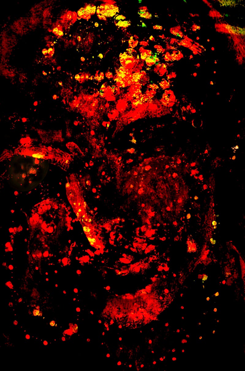 Marion_van_Delst_kunst