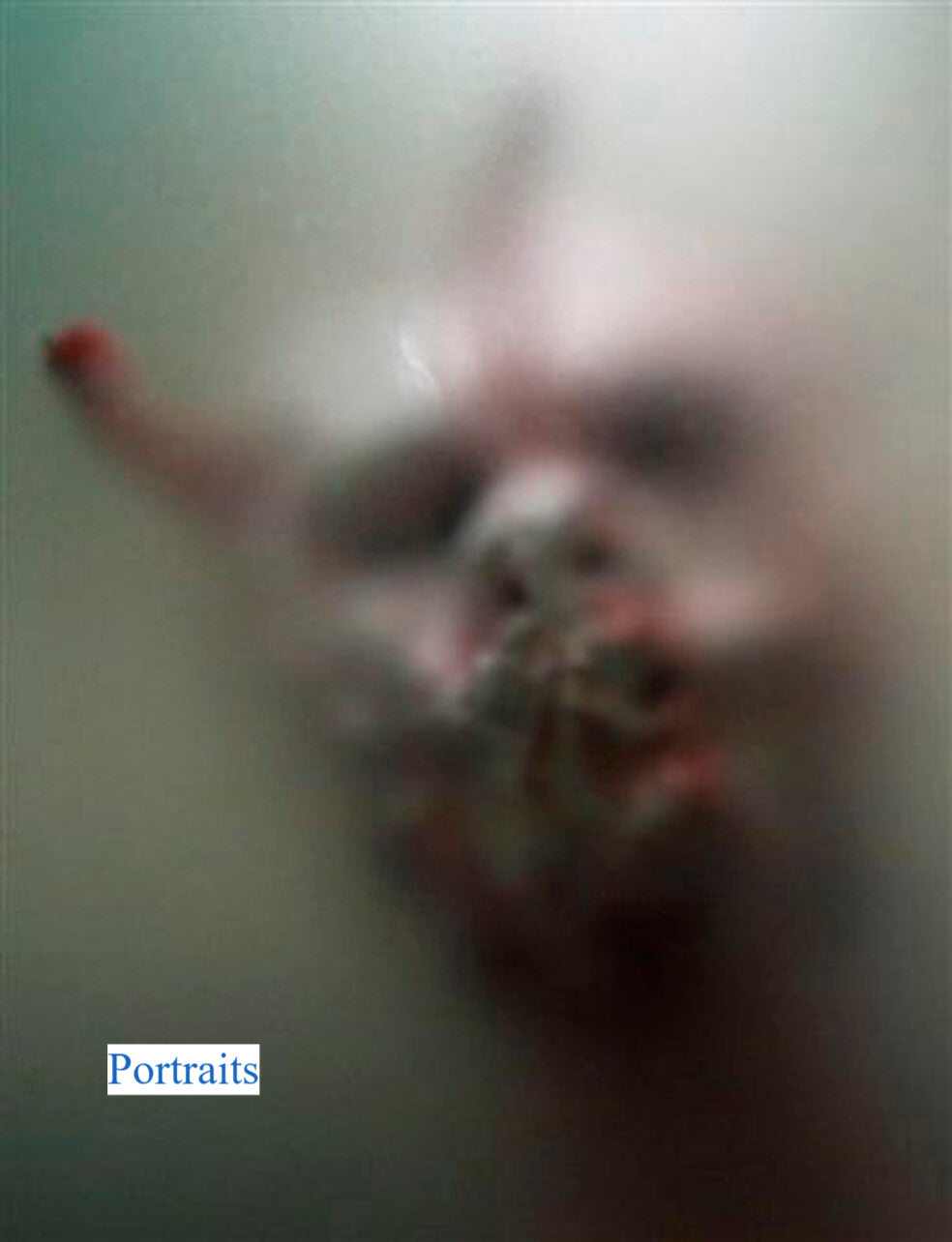 PORTRETTEN _ Marion van Delst