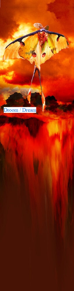 DROOM _ Marion van Delst