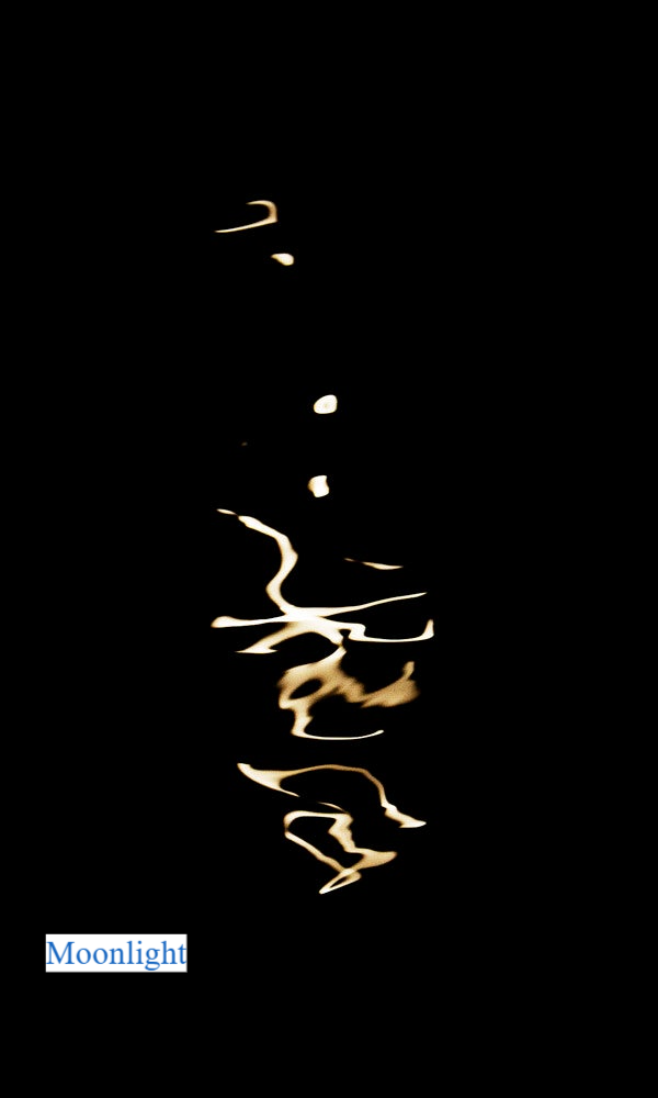 DANCING IN THE MOONLIGHT _ Marion van Delst 