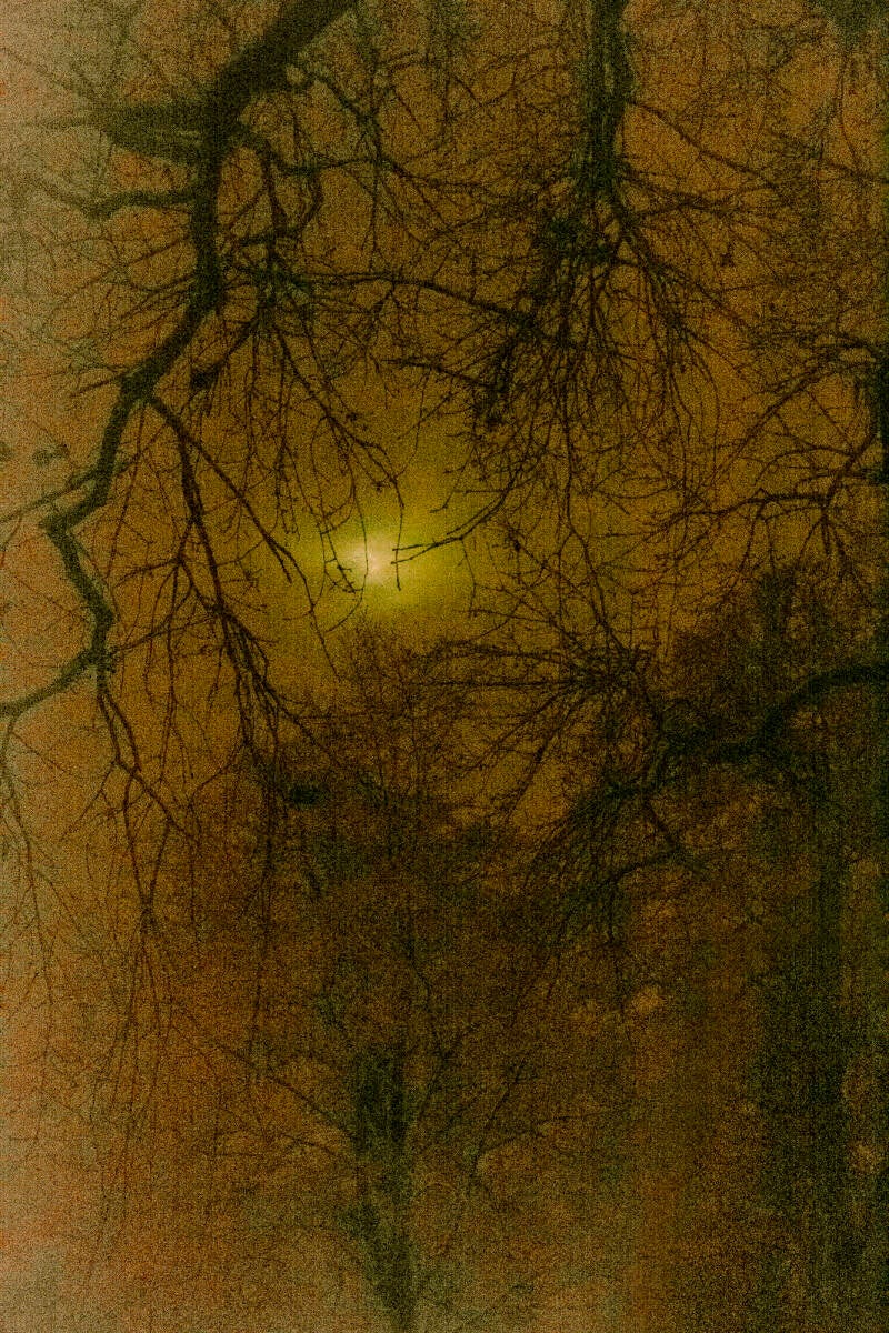 Marion van Delst