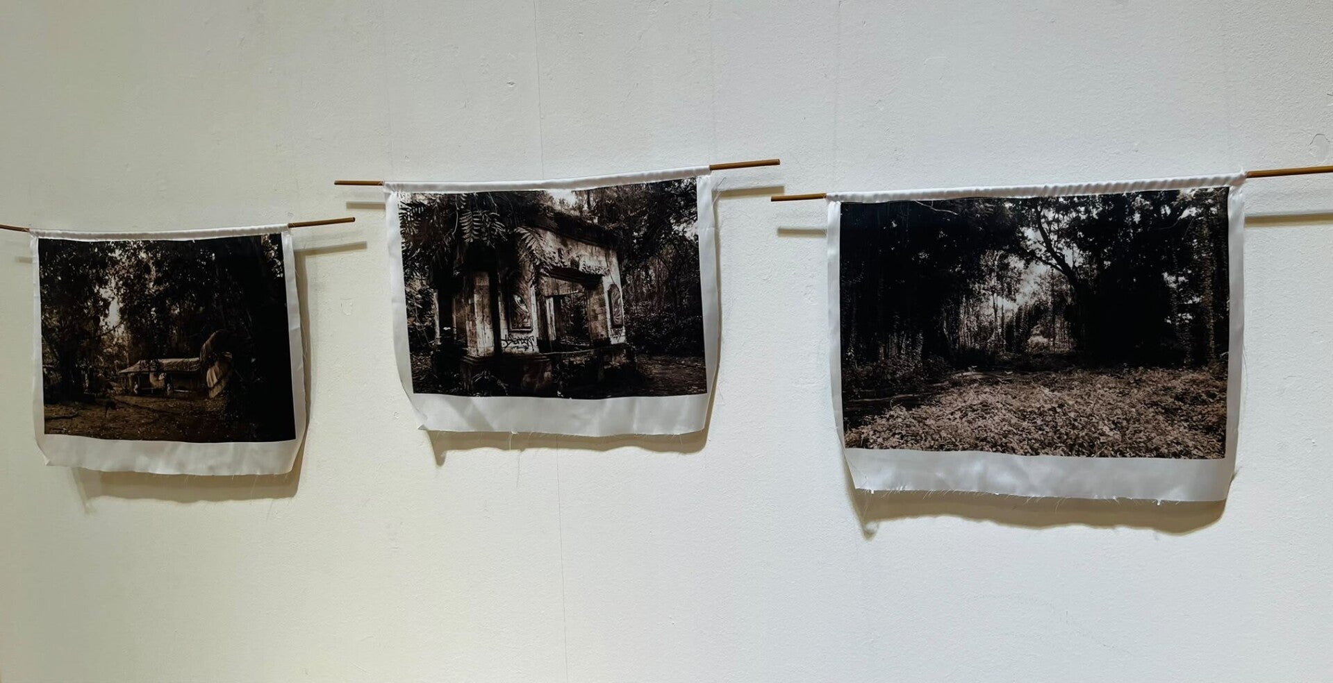 Marion van Delst kunst art Nature