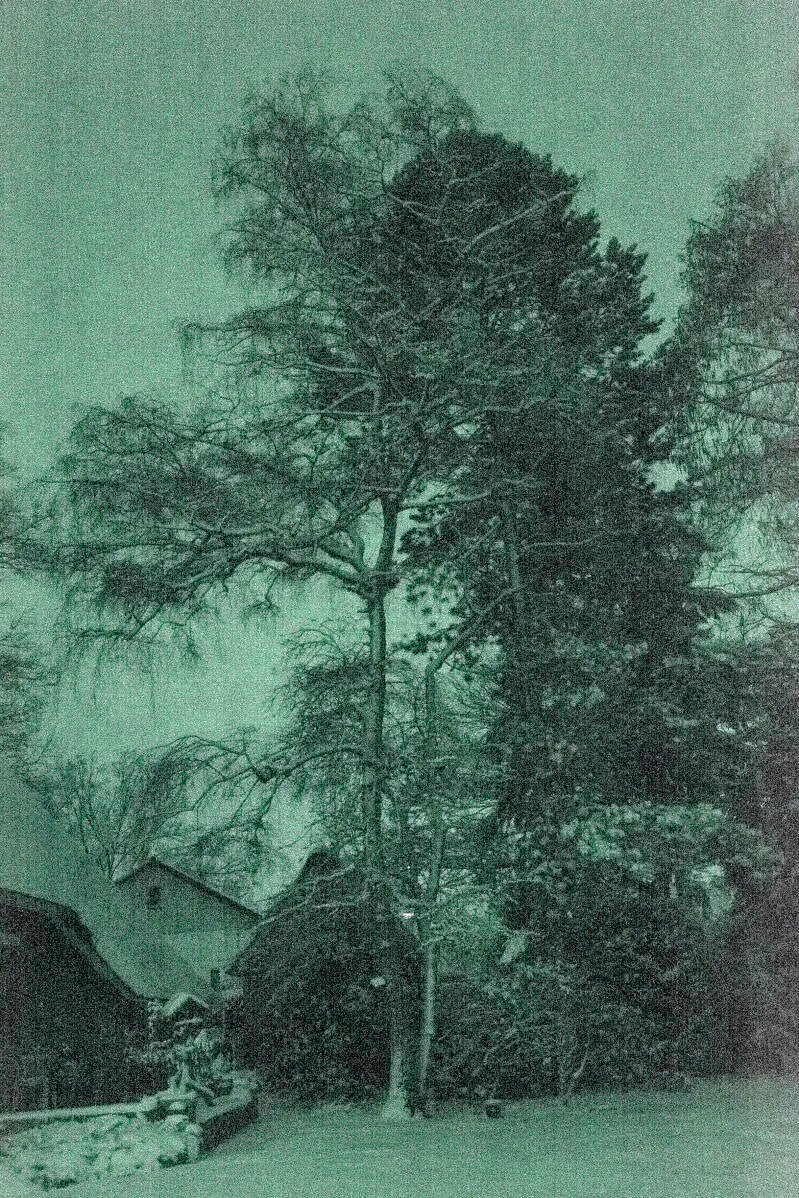 Marion van Delst