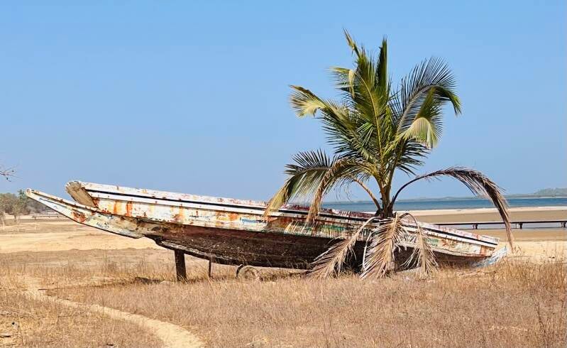 vacances-jean-timonier-maack-ndangane15-standard.jpg