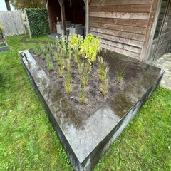 img_1625-standard.jpg