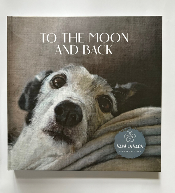 Boek To the moon and back