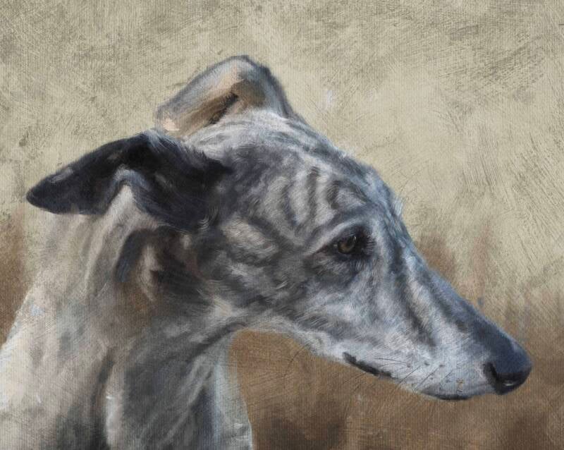 Galgo Español tekening drawing book To the moon and back Viva ka Vida Foundation 