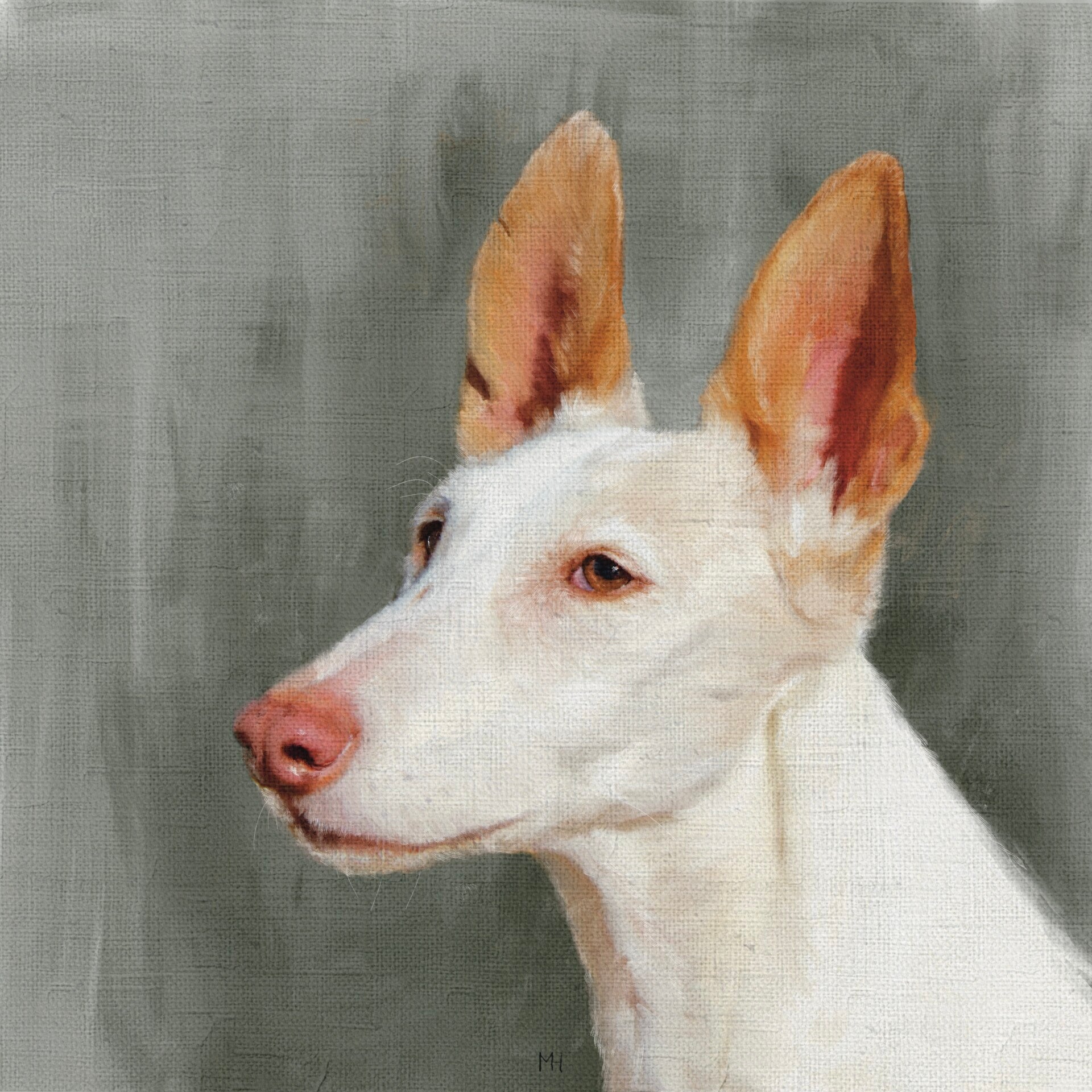 Podenco Tilly Podencofriends To the moon and back book Viva la Vida Foundation