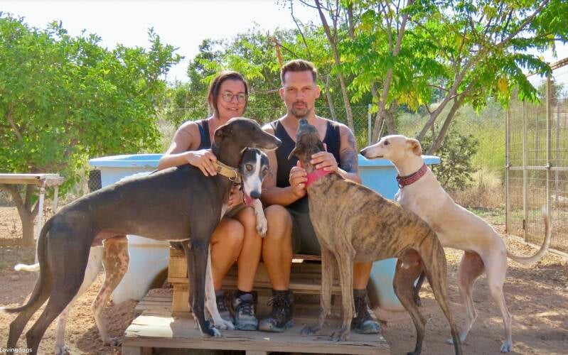 Lovingdogs Viva la Vida Foundation 