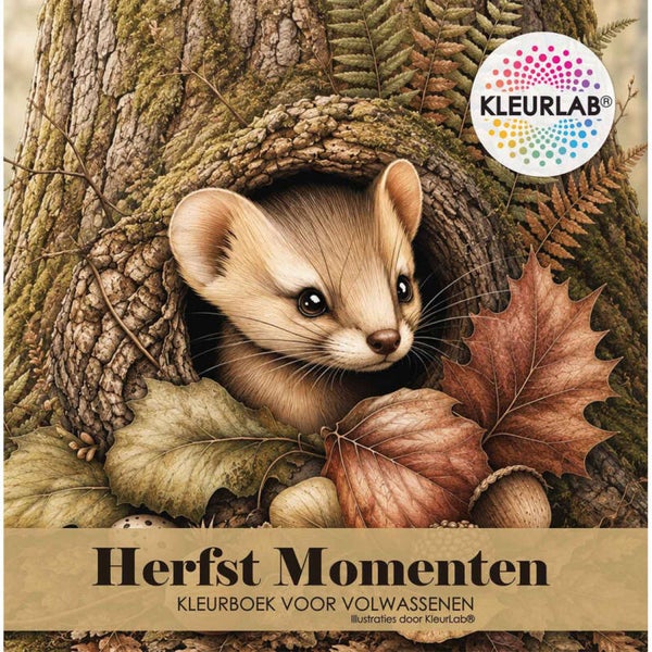 Herfstmomenten