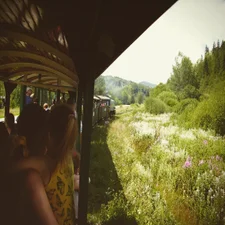 1000000475-standard-wfc1c2.webp