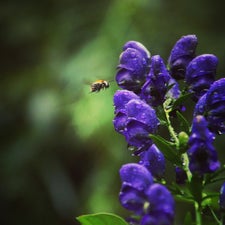 1000000527-standard-yw2e50.jpg