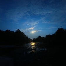 1000003664-standard.jpg