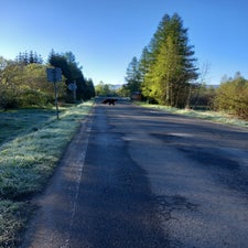 1000004684-standard.jpg