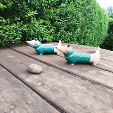 1000016148-standard-ibgst1.jpg