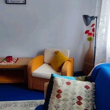 1000017082-standard.jpg
