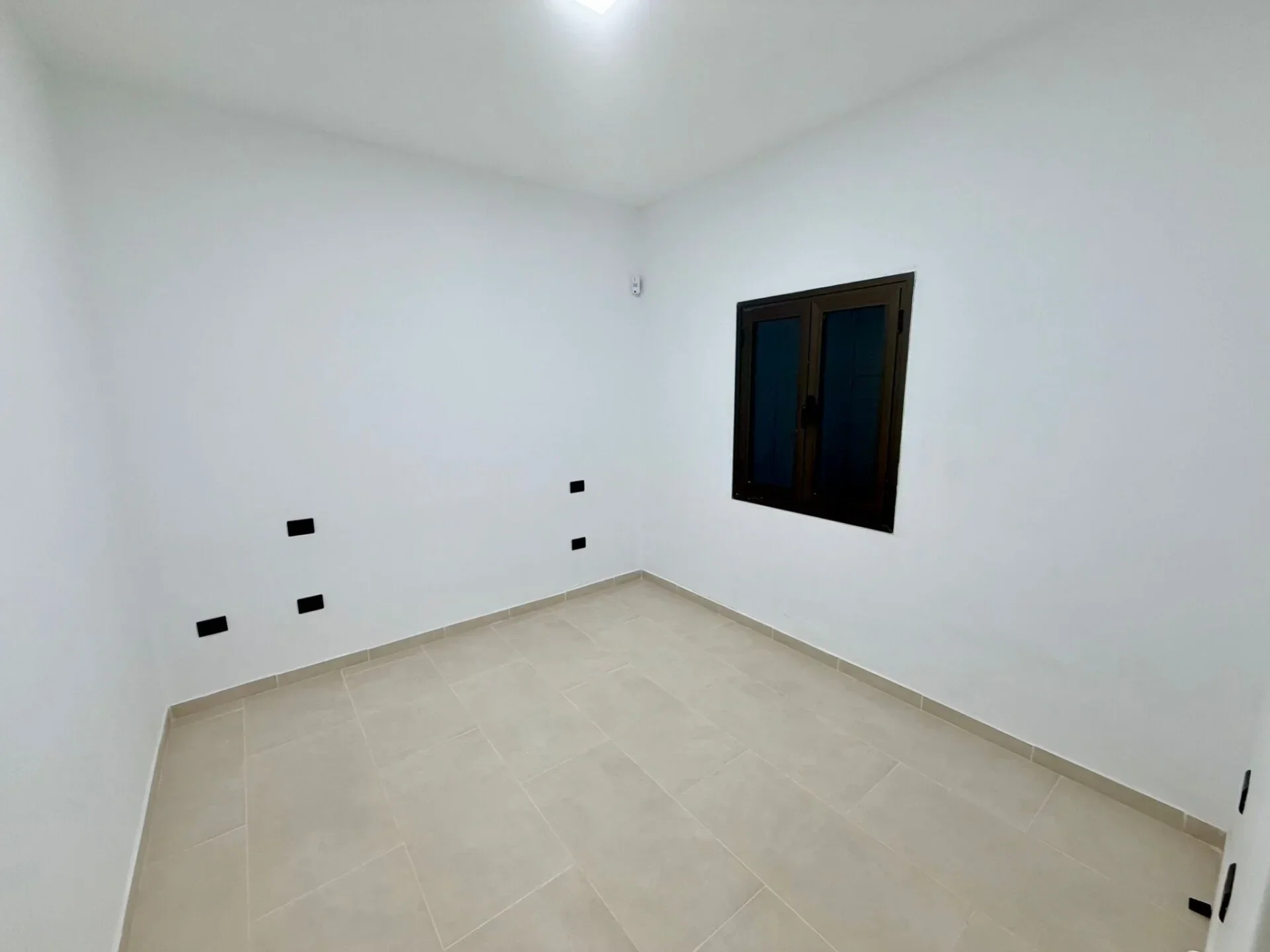 photo-2026-04-30-19-31-10-2-high-standard.webp