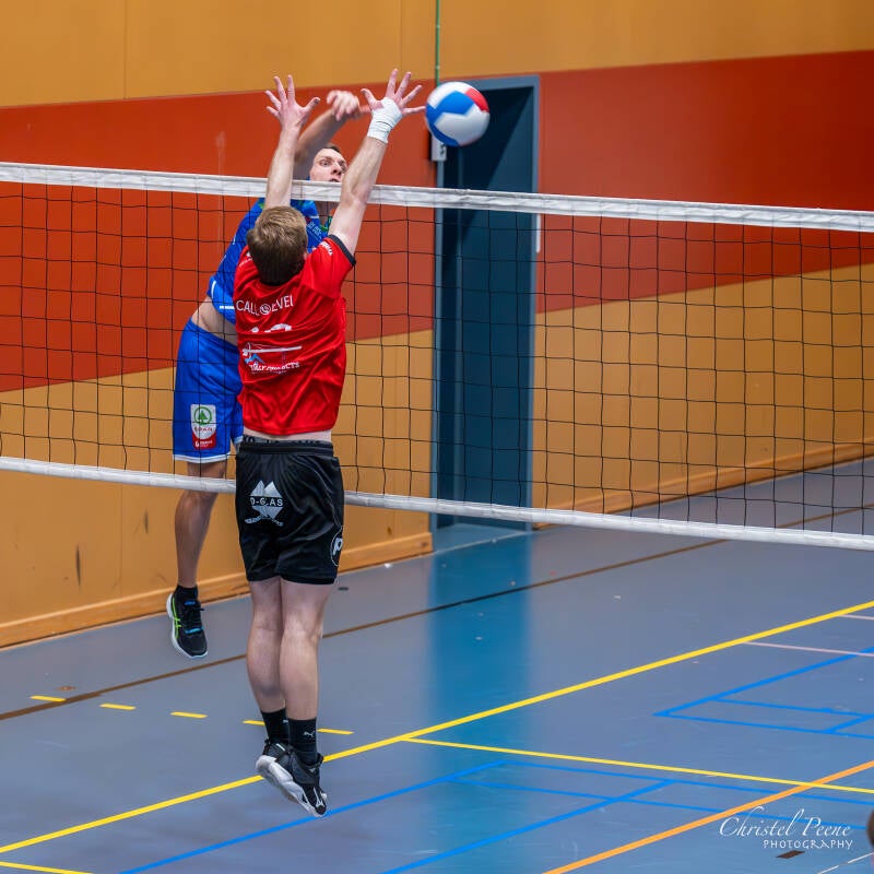 volley-heren-dames-b-november-2024-208-standard-p4qgw3.jpg