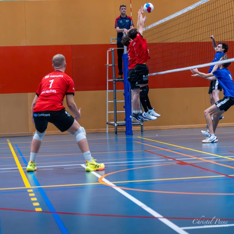 volley-heren-dames-b-november-2024-29-standard-rf7ozw.jpg