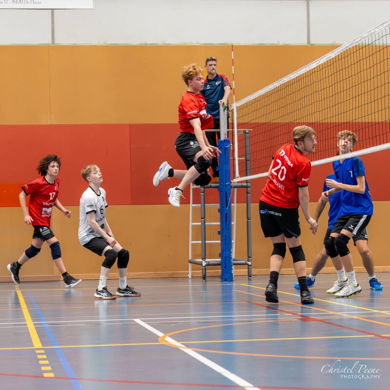 volley-heren-dames-b-november-2024-36-standard-d0vhjf.jpg