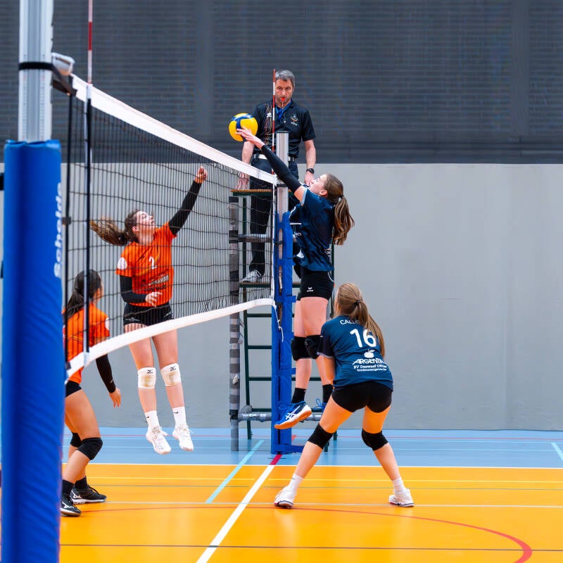 volley-manou-bredene-2024-27-standard.jpg