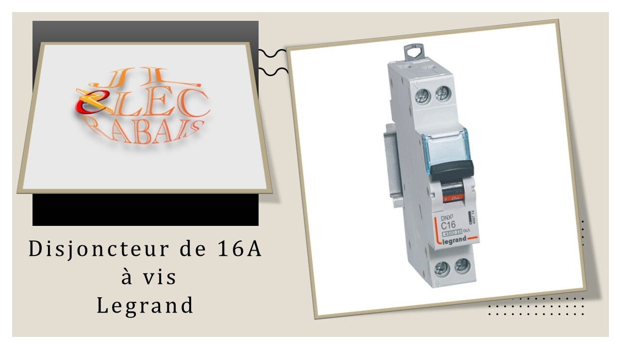 Disjoncteur de 16A à vis Legrand