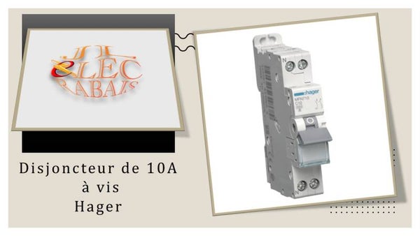 Disjoncteur de 10A à vis Hager