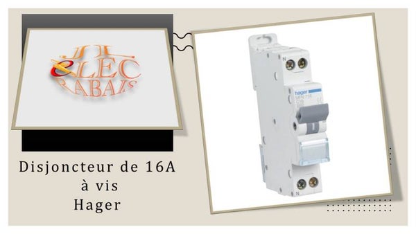 Disjoncteur de 16A à vis Hager