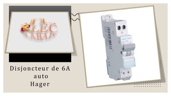 Disjoncteur de 6A auto Hager