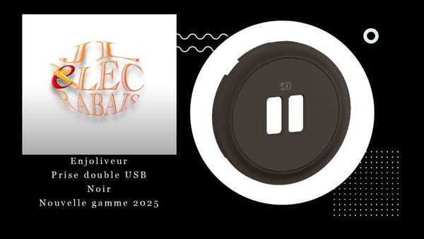 Enjoliveur " prise double USB NOIR " Legrand Céliane