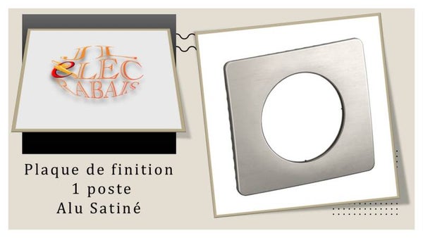Plaque de finition " 1 poste ALU SATINE " Legrand Céliane