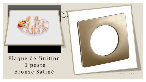 Plaque de finition " 1 poste BRONZE SATINE " Legrand Céliane