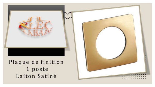 Plaque de finition " 1 poste LAITON SATINE " Legrand Céliane
