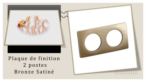 Plaque de finition " 2 postes BRONZE SATINE " Legrand Céliane